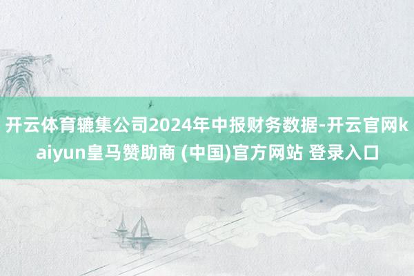 开云体育辘集公司2024年中报财务数据-开云官网kaiyun皇马赞助商 (中国)官方网站 登录入口